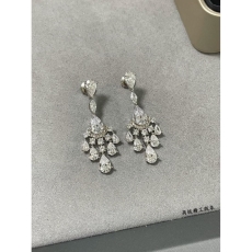 Unclassified Brand Earrings